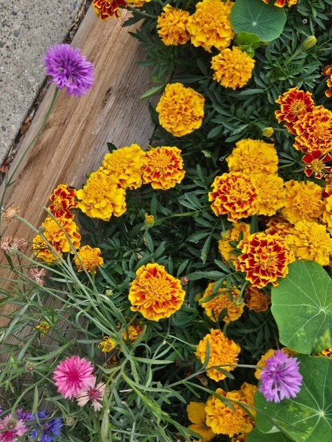 unknown-17.d272b225996.jpg
