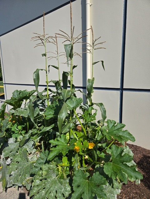 unknown-21.f4333b26000.jpg