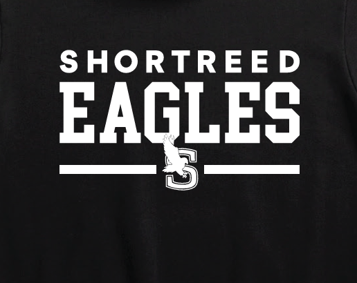 2024-design-is-also-available-on-all-hoodies-crewnecks-and-t-shirts.94804a3978.png