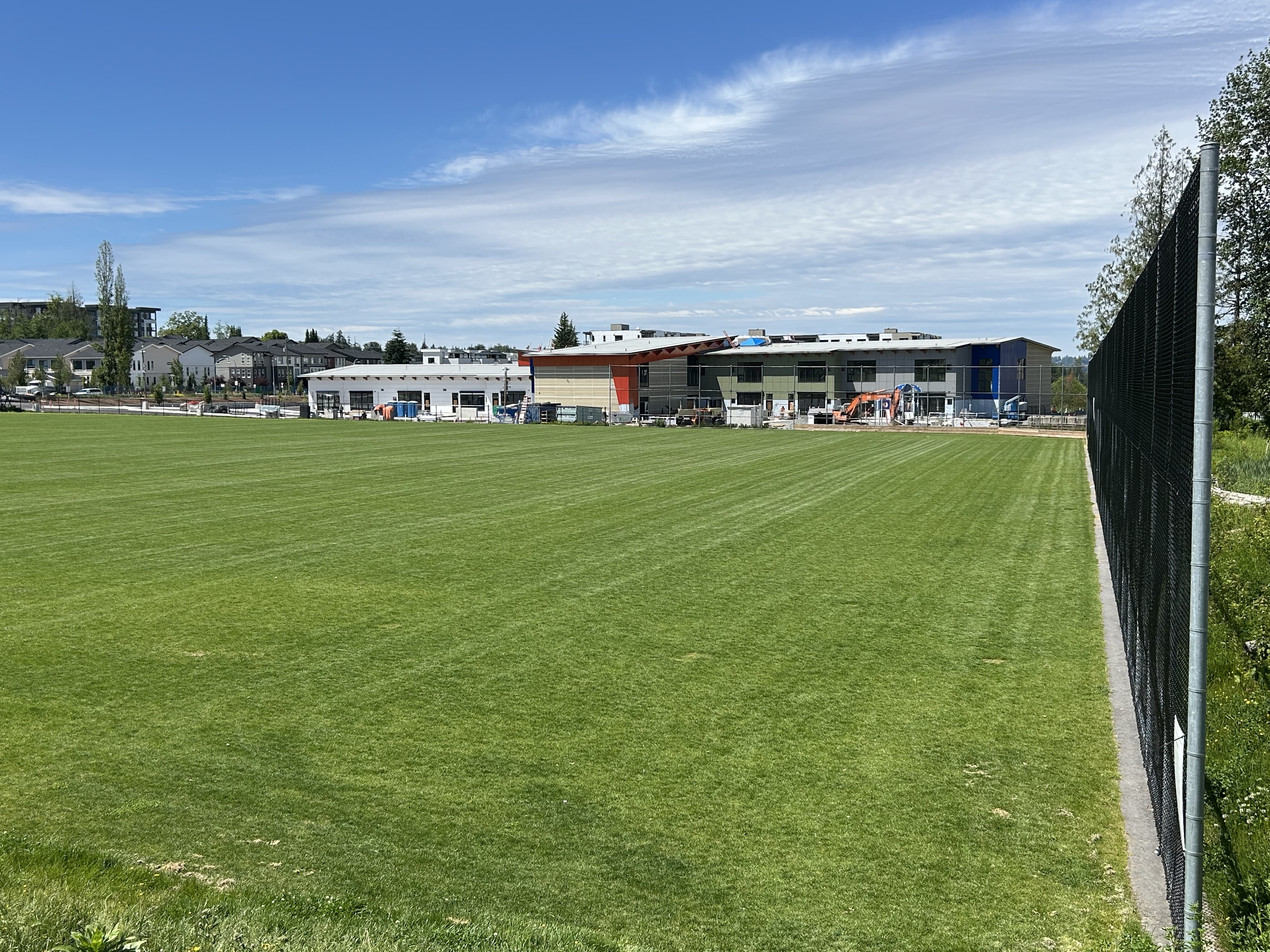 Across Field1.jpeg