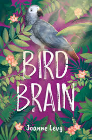 bird-brain.ffdb94366.jpg