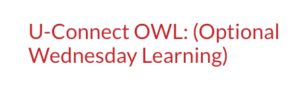 owl-300x86.7696813849.png