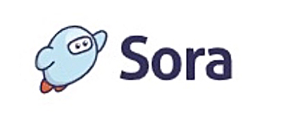 sora.e7832d7176.jpg