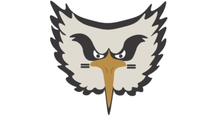 tougheagle_am_448x240_acf_cropped.347a8a5283.jpg