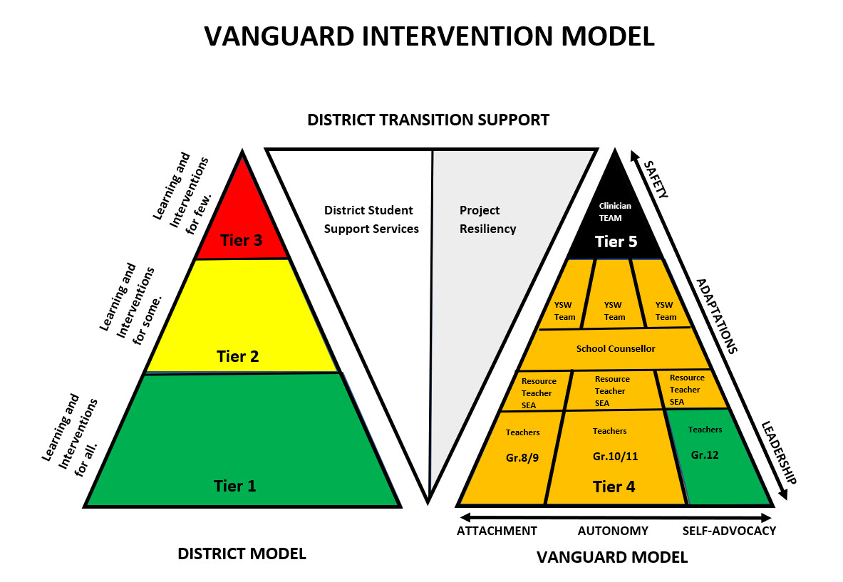 vanguard-intervention-model.e94ce15093.jpg