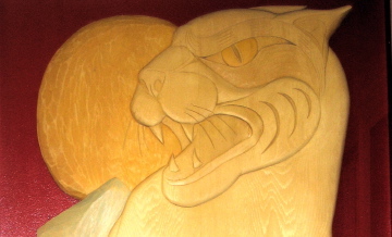 wildcats5x3.ea8d9e3146.jpg