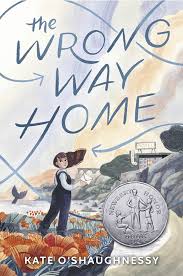 wrong-way-home.f102a125105.jpg